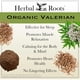 thumbnail image 3 of Cápsulas Raíz Valeriana Orgánica 60 Vegan, 3 of 3