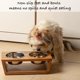 thumbnail image 4 of Juego de 2 tazones para perros Pawfect Pets 10 cm Acacia, 4 of 7
