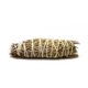 thumbnail image 3 of Incienso Prabhuji's Gifts de Enebro 40 g – Pack de 2, 3 of 3