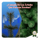 thumbnail image 5 of Arbol De Navidad Base Metalica Facil Armado Verde Clasico, 5 of 5