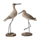 thumbnail image 5 of 2 Piezas Figurinas de Gaviota Artesanía de Madera Estatua de Pájaro Rústica Decoración Del Océano con Detalles Realistas Adecuado para La Sala Y El C Marrón, 5 of 5