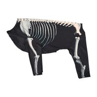 Ioensy - Disfraz De Perro Esqueleto De Halloween Disfraz De Mascota Para Cachorro Gatito Festival Vacaciones 3Xl