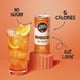thumbnail image 4 of Remedio Líquido Para Bebidas Kombucha Orange Splash Lata De 250 Ml Paquete De 24, 4 of 7