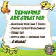 thumbnail image 3 of Lombrices para compostaje Uncle Jim's Worm Farm Red Wiggler, 250 unidades, 3 of 7
