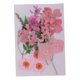thumbnail image 2 of Múltiples Mezclas De Flores Secas Prensadas Naturales Hojas DIY Art Craft 2.5-3cm Rosa, 2 of 5