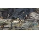 thumbnail image 5 of Videojuego Skybound Games Disco Elysium Final Cut para Xbox, 5 of 6