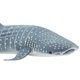 thumbnail image 5 of Figura Safari Ltd., tiburón ballena, 7,25 cm, juguete educativo para mayores de 3 años, 5 of 7