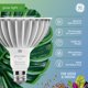 thumbnail image 2 of Bombilla LED de cultivo GE PAR38 Flood Light para plantas de interior, 2 of 9