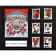 thumbnail image 1 of Placa C&I Collectables NHL Washington Capitals 16x20 con foto, 1 of 1