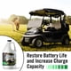thumbnail image 2 of Recambio para desulfatador Battery Renew Solution Samorillo de 1,89 L, 2 of 5