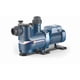 thumbnail image 1 of Bomba de Piscina Magnifica 5T 3HP 380V Pedrollo, 1 of 3