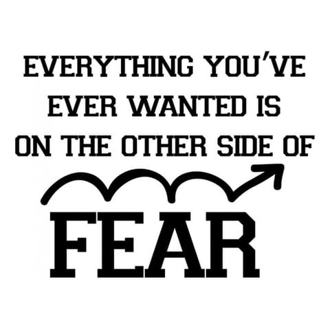 Rienda Libre Graphics - Decomural The Other Side Of Fear Inspirational Ws-34330