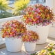 thumbnail image 2 of Flores artificiales ZFProcess, plantas artificiales para exteriores, 12 paquetes, 2 of 9