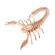 thumbnail image 5 of Juego De Montaje De Modelo De Insecto De Rompecabezas De Madera 3D Para Ni?os Insectos Educativos Para Ni?os Estilo F, 5 of 5