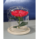 thumbnail image 1 of Cúpula Cristal LED con Rosa Roja Bella y Bestia, 1 of 3