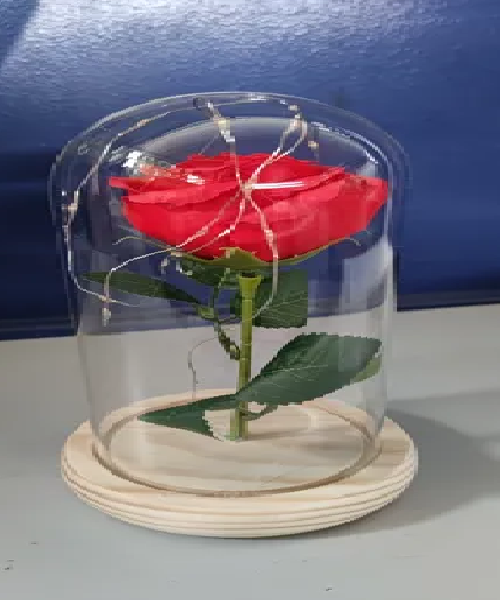 Genérico - Cúpula Cristal Led Con Rosa Roja Bella Y Bestia