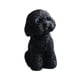 thumbnail image 2 of Dog Miniature Figurine Mini Estatua De Animales Para La Sala De Estar De La Habitación Sala De Estar En Cuclillas Negras, 2 of 5
