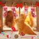 thumbnail image 4 of Juguetes navideños para gatos, calcetines navideños surtidos, paquete variado, juguete interactivo navideño para gatos de interior y gatitos., 4 of 5