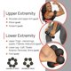 thumbnail image 3 of Bolas de Masaje PRIMEKINETIX MyoBalls – Set de 7, 3 of 7