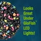 thumbnail image 5 of Grava para acuarios GloFish negra con detalles fluorescentes, 2,27 kg, 5 of 8