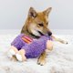thumbnail image 2 of Juguete de peluche ultrasuave para perros KONG Sherps Llama talla M, 2 of 6
