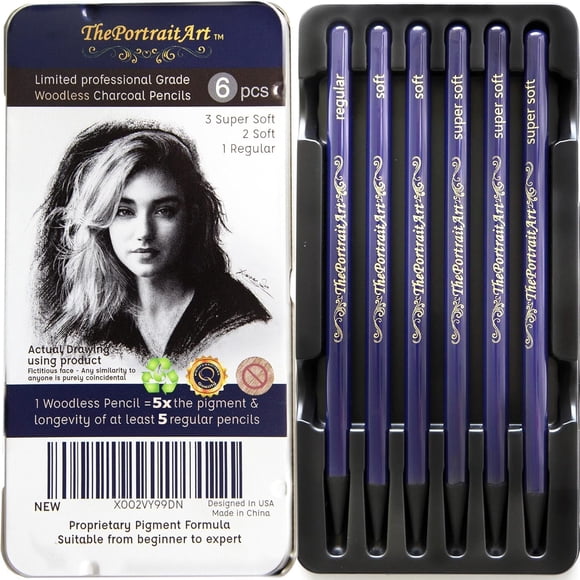 Lápices de carbón ThePortraitArt Artist sin madera, set de 6 piezas