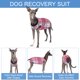 thumbnail image 2 of Traje De Recuperación Posquirúrgica Para Perro Rosa A Cuadros Talla Mediana, 2 of 5