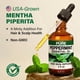thumbnail image 3 of Aceite esencial KUKKA Peppermint 120 ml para cabello, piel y difusor, 3 of 8