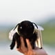 thumbnail image 2 of Muñeca de peluche TAMMYFLYFLY Soft Bee, 17 cm, 2 of 5