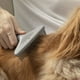 thumbnail image 3 of FURminator GROOMING RAKE FOR DOG/CAT, 3 of 3