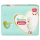 thumbnail image 1 of PANAL PAMPERS PANTS PREMIUM CARE M34, 1 of 2