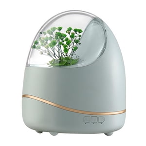 Bothyi - Difusor De Aroma Decoración De Mesa Regalo De Cumpleaños Niebla Fresca Para Dormitorio De Yoga Verde