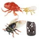 thumbnail image 5 of Juego De Ciclo De Crecimiento De Cigarra, Animal De Simulación Para Ni?os, Ni?os, Ni?as, 5 of 5