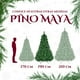 thumbnail image 4 of Arbol De Navidad 1.8-1.9 Cm Color Verde Jardimex, 4 of 7