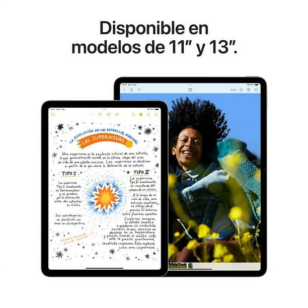 iPad Air 11 M2 WiFi 256GB gris espacial | Lider