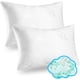 thumbnail image 1 of Espuma viscoelástica triturada Pillow Xtreme Comforts, paquete de 2, 1 of 9
