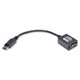 thumbnail image 1 of Adaptador de vídeo Tripp Lite DisplayPort a VGA (M/F) 15 cm negro, 1 of 1