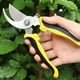 thumbnail image 5 of Tijeras multifuncionales para ramas de frutas y horticultura, 5 of 6