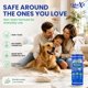 thumbnail image 4 of Desodorante de Ambiente OdorXit Magic Air Spray 237 ml, 4 of 9