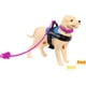 thumbnail image 3 of Muñeca moderna Barbie Brunette con perro de servicio, silla de ruedas y accesorios, 3 of 6