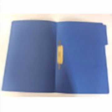 Carpeta Alinsa Color Con Acoclip