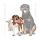 thumbnail image 4 of Peluche ANSALDO PETS animales enojados vaca 8.9x21.6x38 cm, 4 of 4