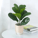 thumbnail image 2 of Flores artificiales vegetación b verde 1, 2 of 3