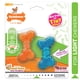 thumbnail image 1 of Juguete masticable Nylabone Moderate Chew FlexiChew Bone para perros, 1 of 9