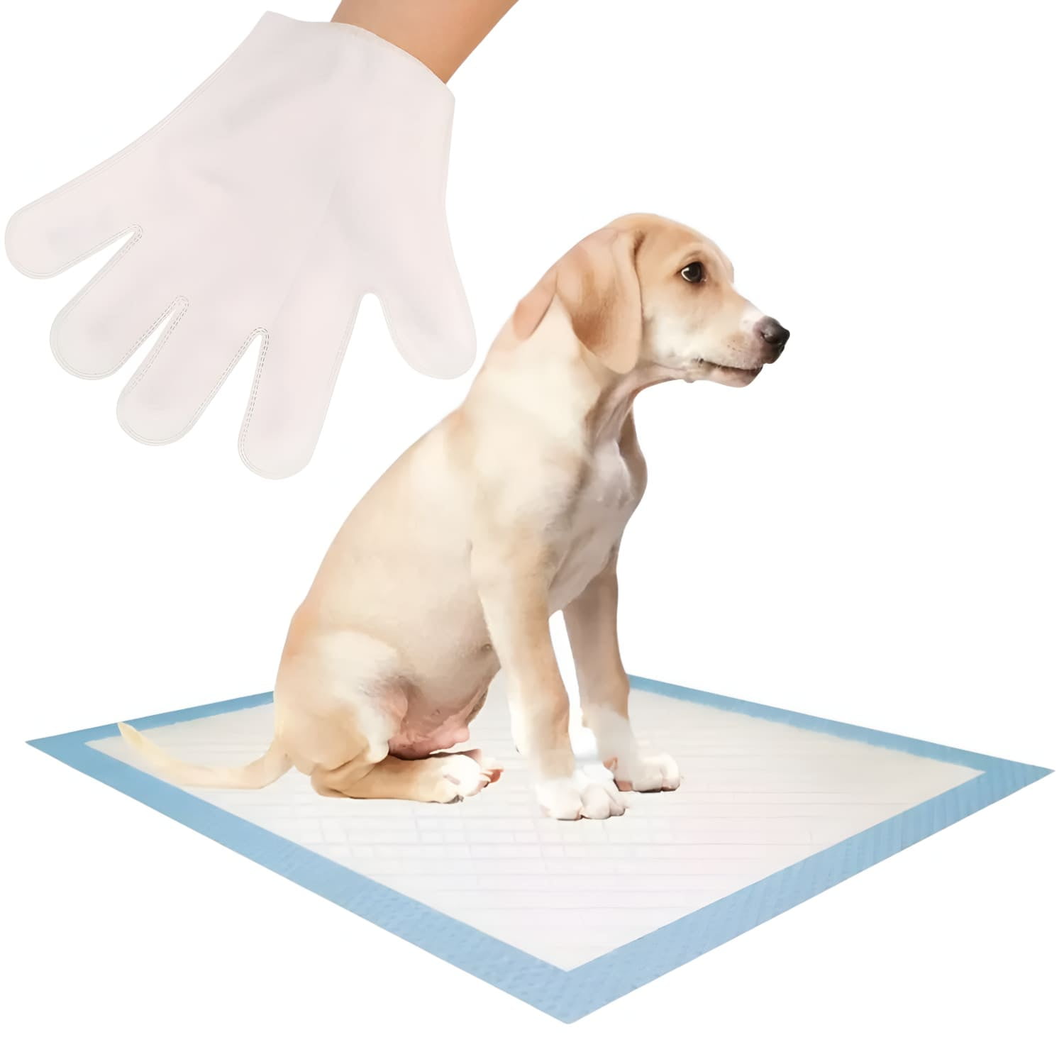 Petwoow - 100 Sabanillas 45x60 + 12 Guantes Limpieza Perros Mascotas