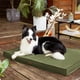 thumbnail image 5 of Cama para perros LE SURE Lesure Outdoor impermeable para perros grandes, 5 of 7