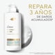 thumbnail image 4 of Shampoo Dove Finalizador Bond Intense Repair + Peptido Complex, 650 ml, 4 of 7