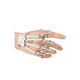 thumbnail image 2 of Anillo y pulsera con calavera punk, color plata, 2 of 3
