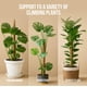 thumbnail image 5 of Soporte para plantas de musgo Craft911, paquete de 2 unidades, 71 cm, doblable, 5 of 8