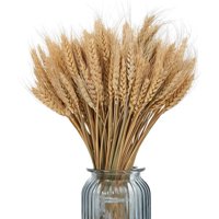 Genérico - Tallos De Trigo Seco Artificial Set De 4 Jhn